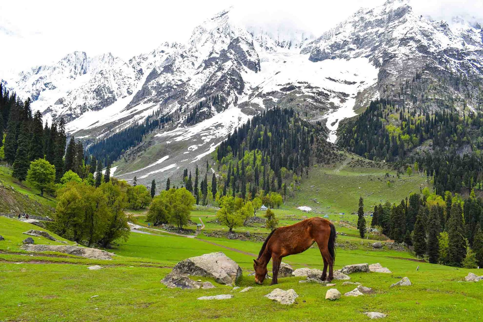 In response to the Pahalgam terror attack, the US issues a “Do Not Travel” advisory for J&K.